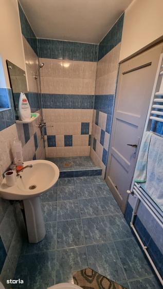 Casa modernizata, baie, centrala, 5593mp teren - Merei Ograzi - 12