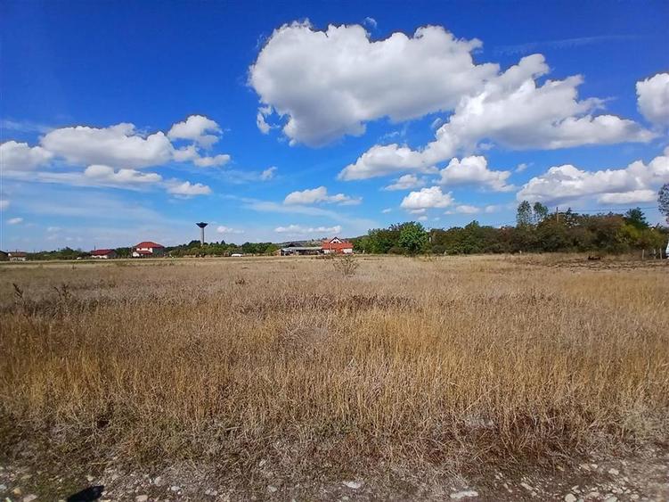 Teren intravilan de 577 mp, în Tileagd