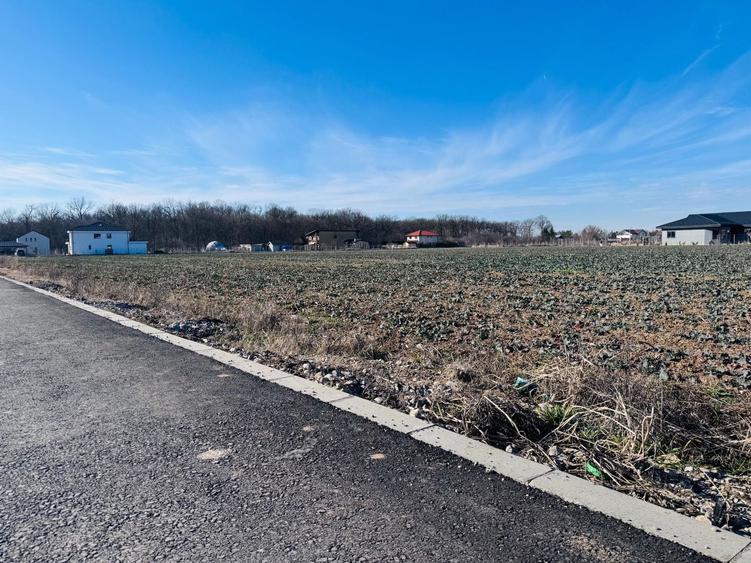 Teren Construcții de 1600 mp, în Ciofliceni