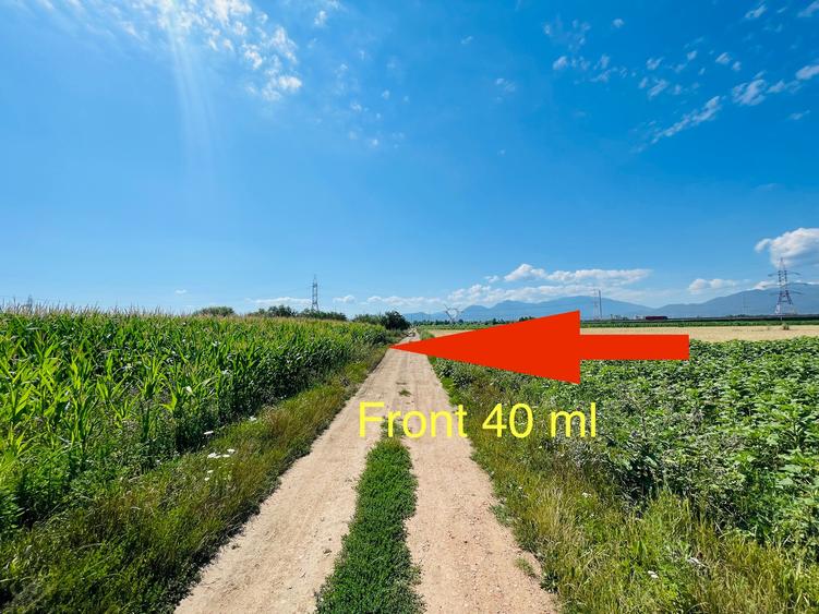 Teren agricol intravilan de 16080 mp, în Sânpetru
