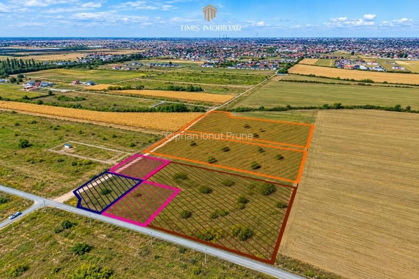 Terenuri 620–767 mp, CF individual – Moșnița Nouă | 0% comision