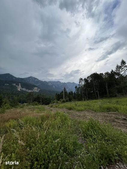 Teren de 1000 mp, în Cumpătu