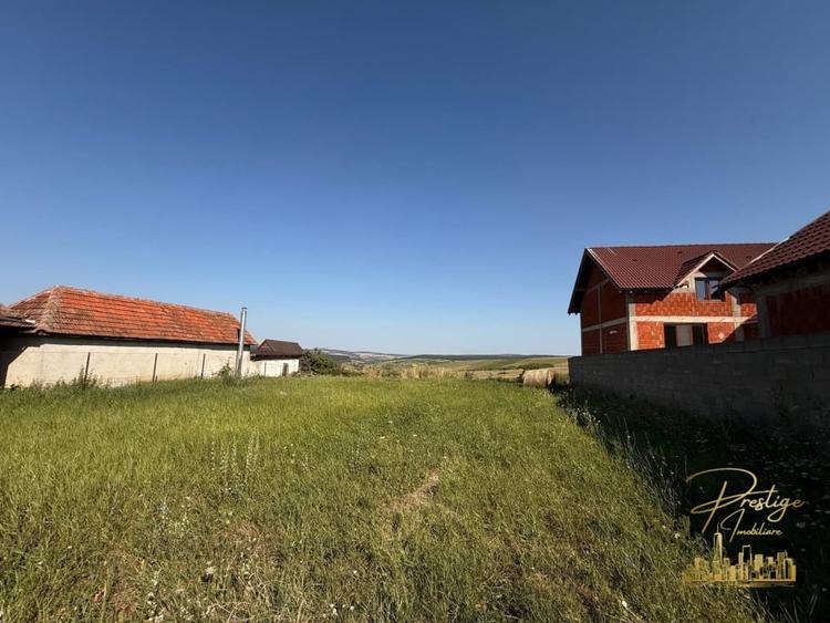Teren Construcții intravilan de 3255 mp, în Tășad