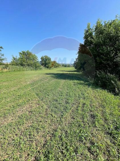 Teren de 4370 mp, în Central