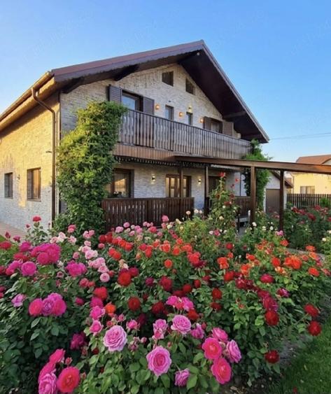 Casă cu 5 camere cu Teren 1000 Mp în Colonia Bod
