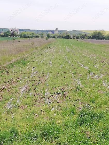 Teren de 5000 mp, în Șimnicu de Jos