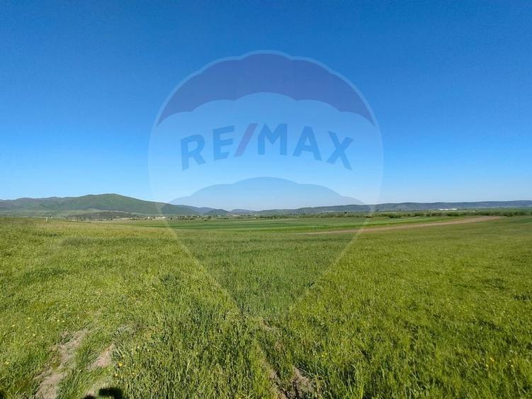 Teren agricol extravilan de 1668 mp, în Gura Râului