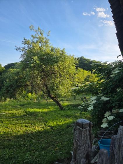 Casă cu 2 camere cu Teren 2100 Mp în Buzdugan
