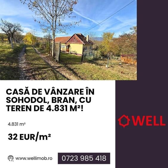 Casă cu Teren 4831 Mp în Bran