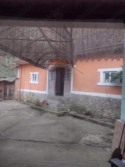 Casă cu 2 camere cu Teren 2000 Mp în Borz