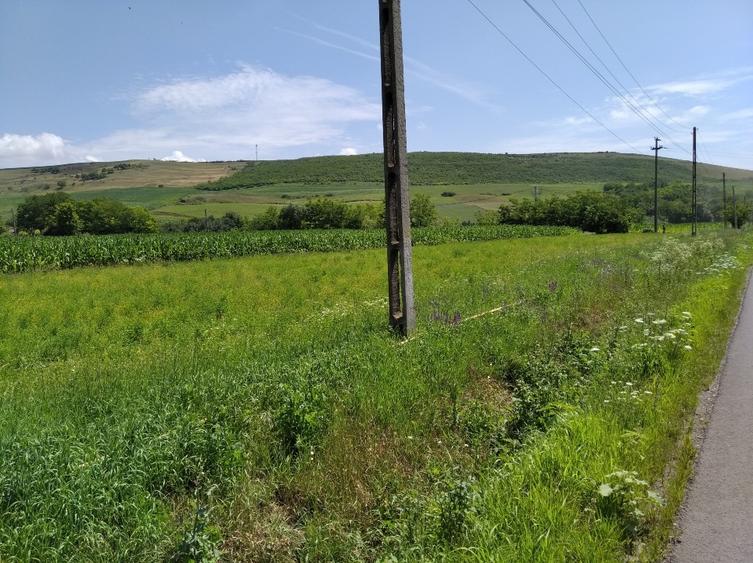 Teren Construcții intravilan de 6600 mp, în Mărășești