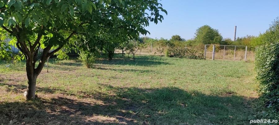 Teren de 650 mp, în Central