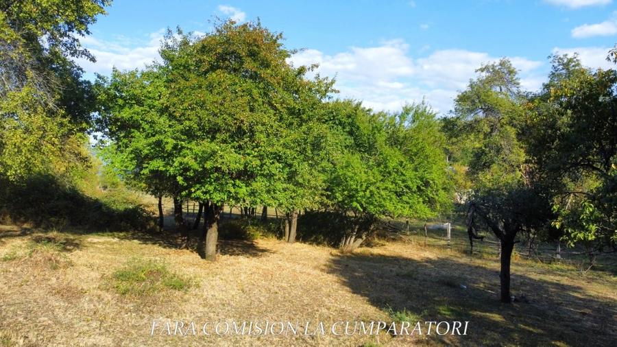 Teren Construcții intravilan de 5274 mp, în Vlădești