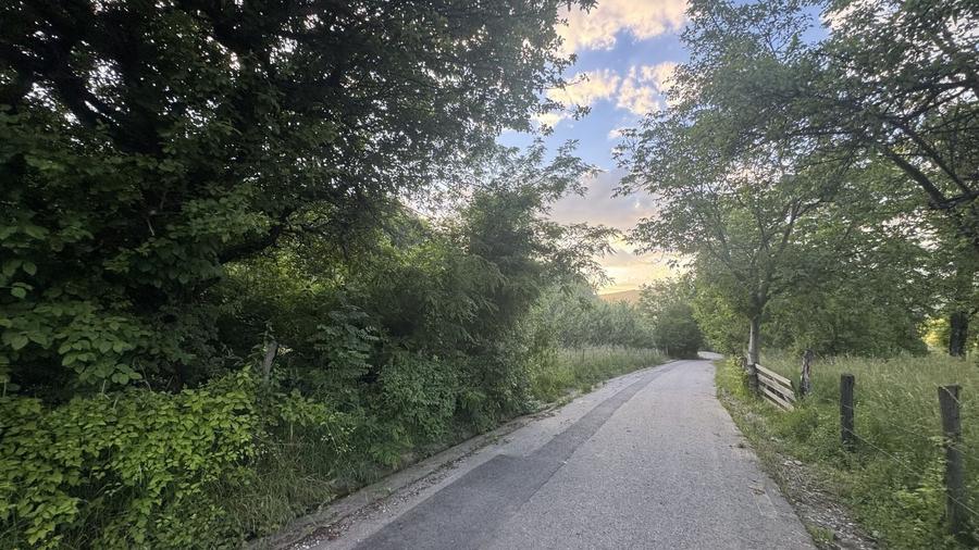 Teren Construcții intravilan de 4330 mp, în Malu cu Flori