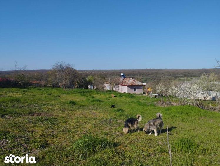 casa de vanzare imob. - 2