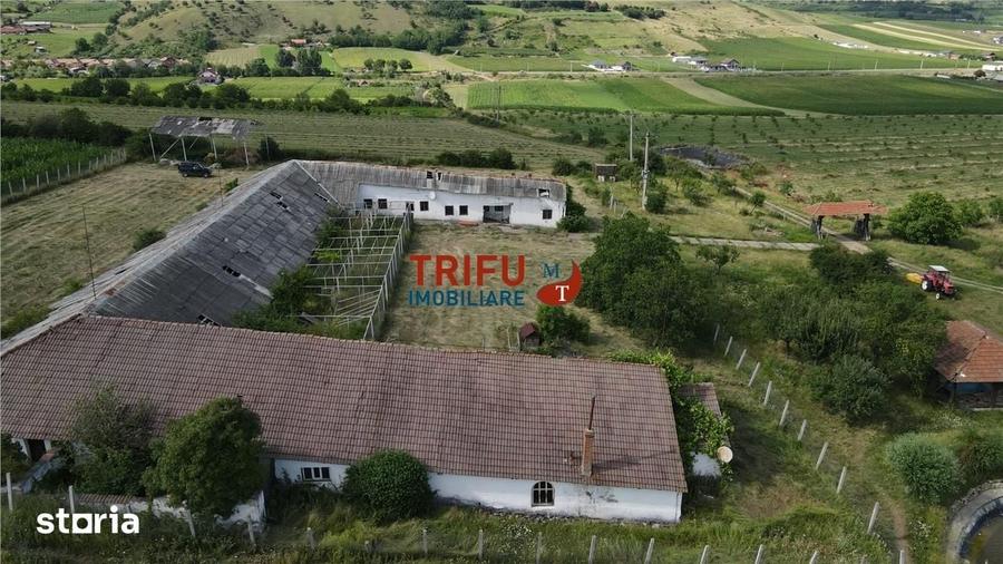 Spațiu comercial, de 1,190 mp, în Alba