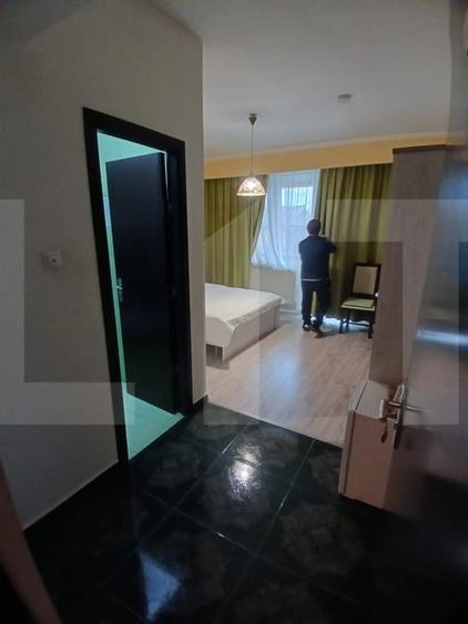 Pensiune 14 camere cu bai proprii si intrari separate, 500 mp, zona Mehala - 10