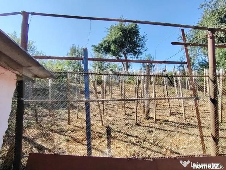 Casă cu 3 camere cu Teren 1650 Mp în Sântana de Mureș