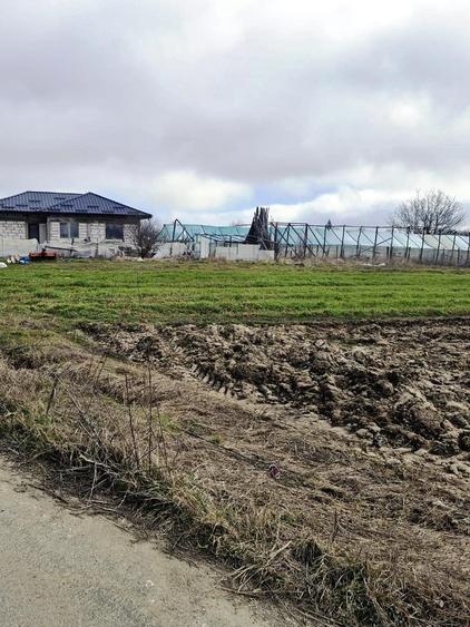 Teren agricol extravilan de 5000 mp, în Vărăști