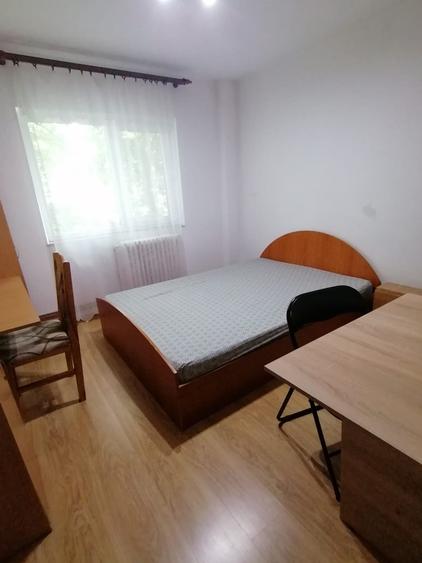 450euro/luna, Podul de Fier intersectie apartament 2 camere decomandat - 4