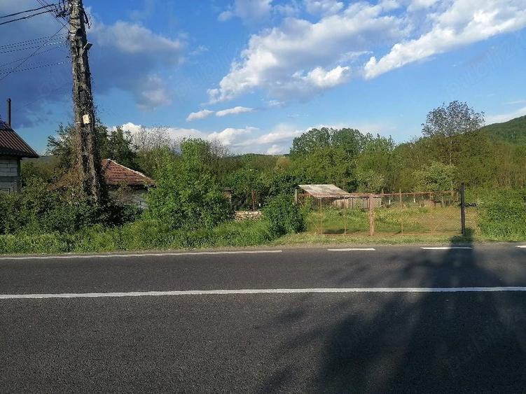 Teren de 800 mp, în Bujoreni