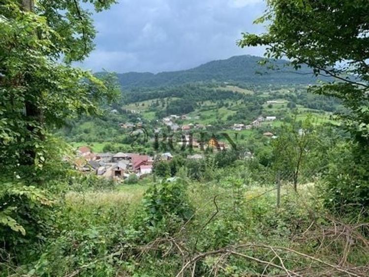 Teren intravilan de 5360 mp, în Tiha Bârgăului