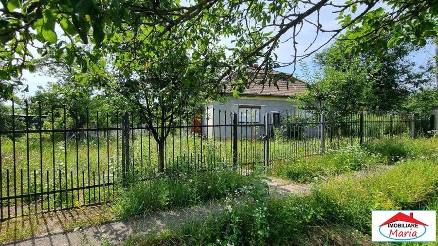 Casă individuală cu 2 camere cu Teren 8052 Mp în Viile Satu Mare