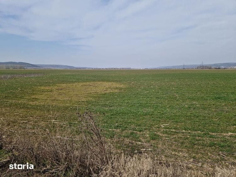 Teren de 3300 mp, în Șimnicu de Sus