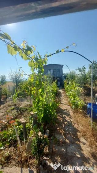 Casă cu 2 camere cu Teren 450 Mp în Dobolii de Jos