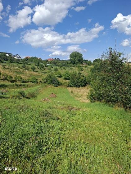 Teren de vanzare in Feleacu - 2