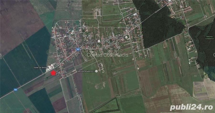 Teren Corbeanca Tamasi Loturi 503 mp