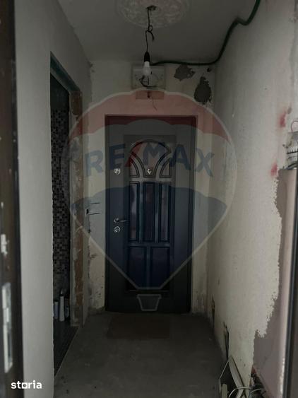 Apartament cu 2 camere de vanzare Savinesti - 19