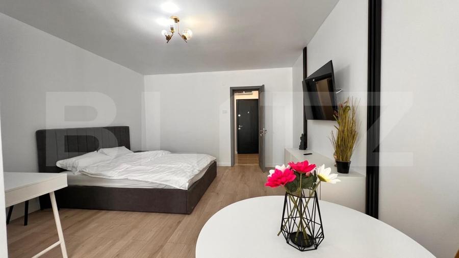 Garsoniera moderna , prima inchiriere, zona Brazda, Baba lui Novac - 6