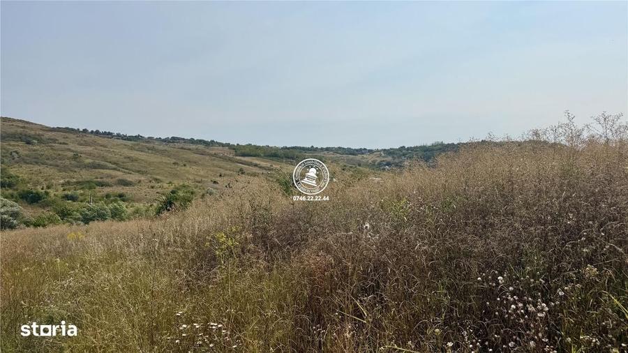 Teren Intravilan 700 mp in Dorobant, Aroneanu Toate Utilit - 4