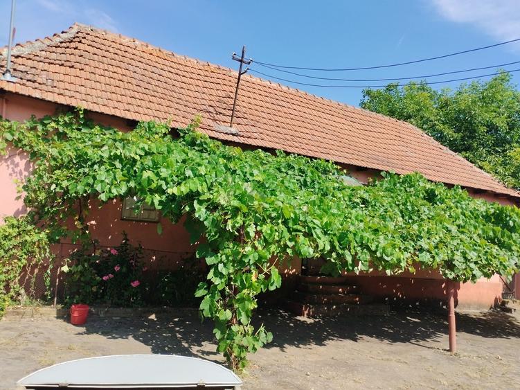 Casă cu 4 camere în Central