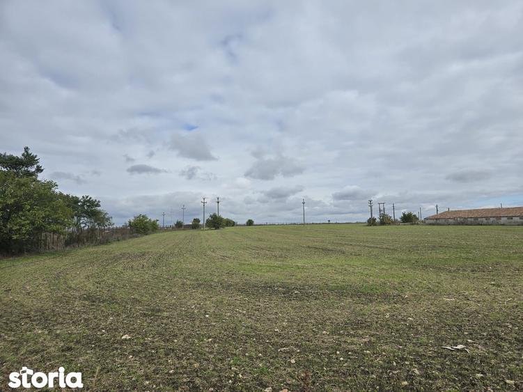 Comuna Amzacea- sat G.Scari?oreanu -Ferma zootehnica , teren 5,1ha - 13