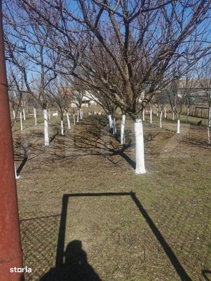 Casă cu 6 camere cu Teren 1500 Mp în Central