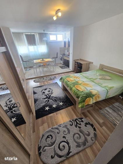 Apartament 1 camera strada Bucegi Cartierul Mana?tur - 1