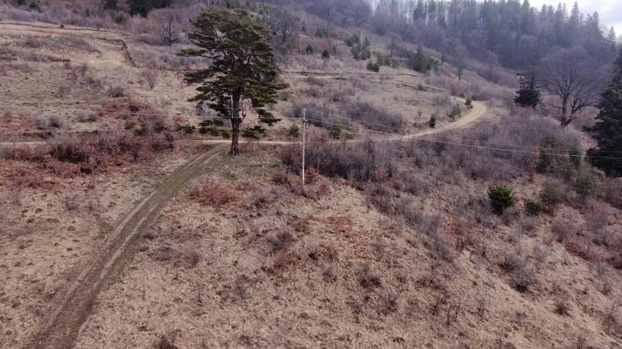 Teren Construcții intravilan de 1751 mp, în Scăricica
