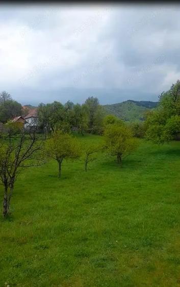 Teren de 26000 mp, în Rădăcinești