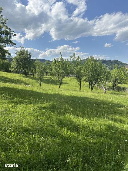 Teren de 10000 mp, în Șotrile
