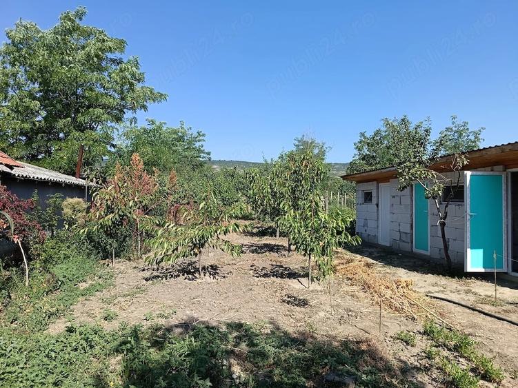 Casă cu 3 camere cu Teren 860 Mp în Pietroasele