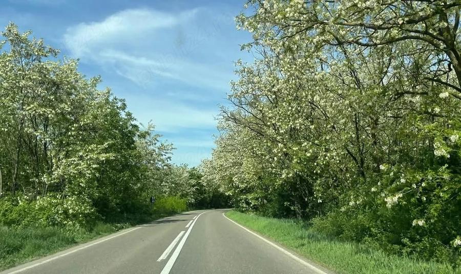 Teren de 3650 mp, în Central
