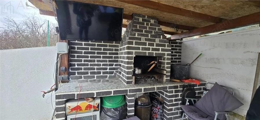 Casă cu Teren 1450 Mp în Viișoara