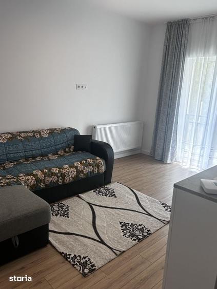 Apartament cu 2 camere în Viișoara