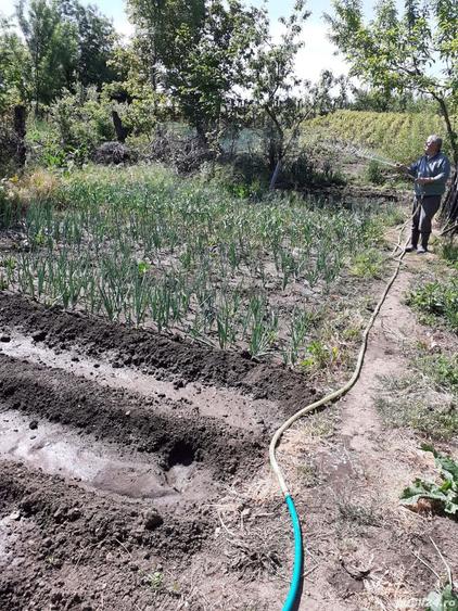 Casă cu 2 camere cu Teren 2930 Mp în Valea Stanciului