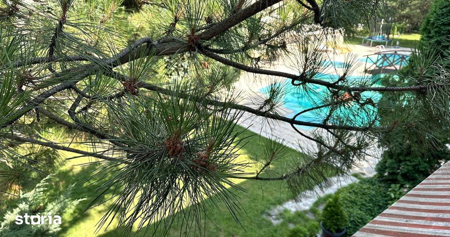 COMISION 0%! CORBEANCA-PARADISUL VERDE,VILA P+1,5 CAMERE,PISCINA/GARAJ - 19