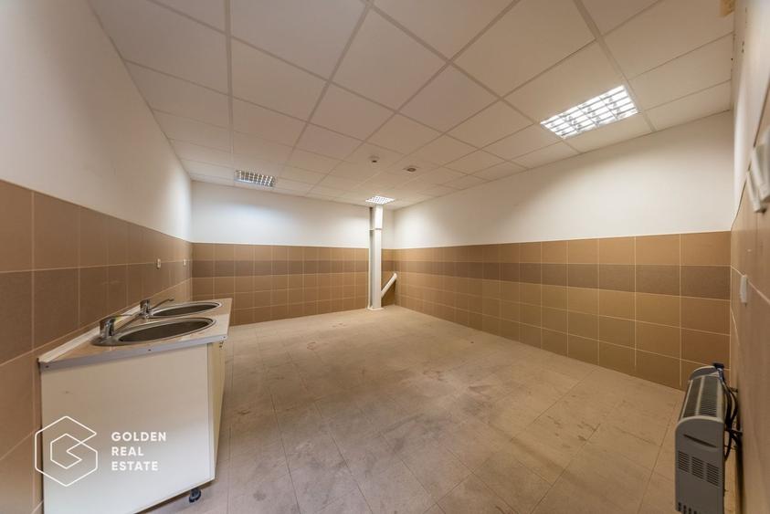Spațiu industrial, de 704.71997070313 mp, în Aradul Nou