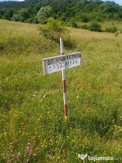 teren extravilan Luna de Sus Cluj Floresti - 9