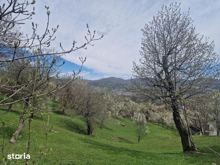 Teren de 2111 mp, în Ghioșești